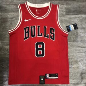 Bulls Red 8 LaVine Jersey Basketball Jerseys Men's nba Customized Children's Women's Jersey Sports Vest with Chip Induction Scanning Heat Pressing